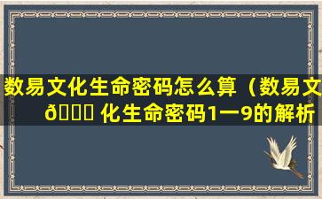 数易文化生命密码怎么算（数易文 🐝 化生命密码1一9的解析 🐵 ）